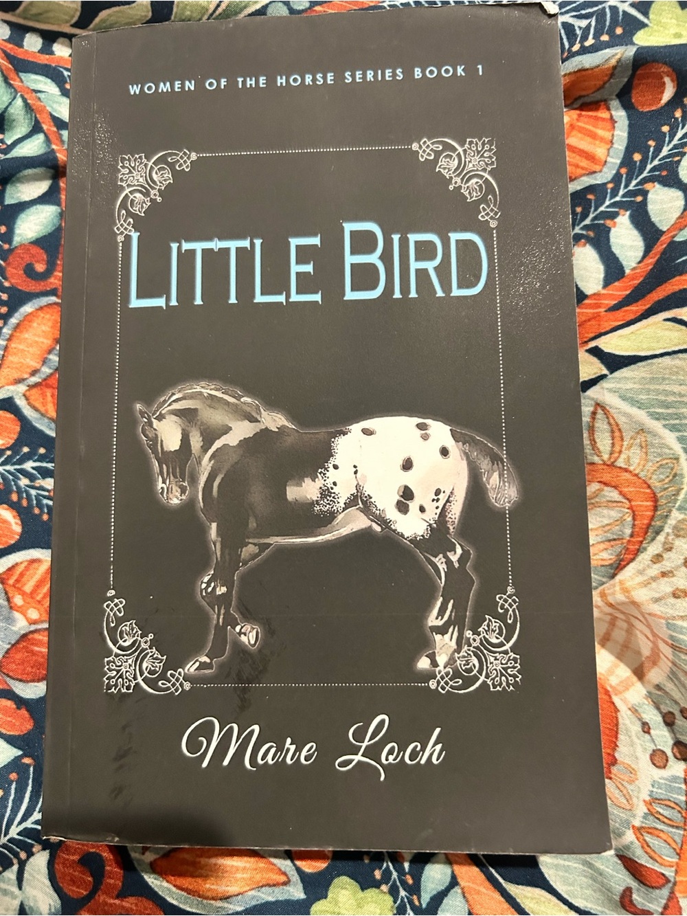 Little Bird Black Novel